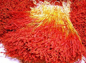 زعفران پوشال